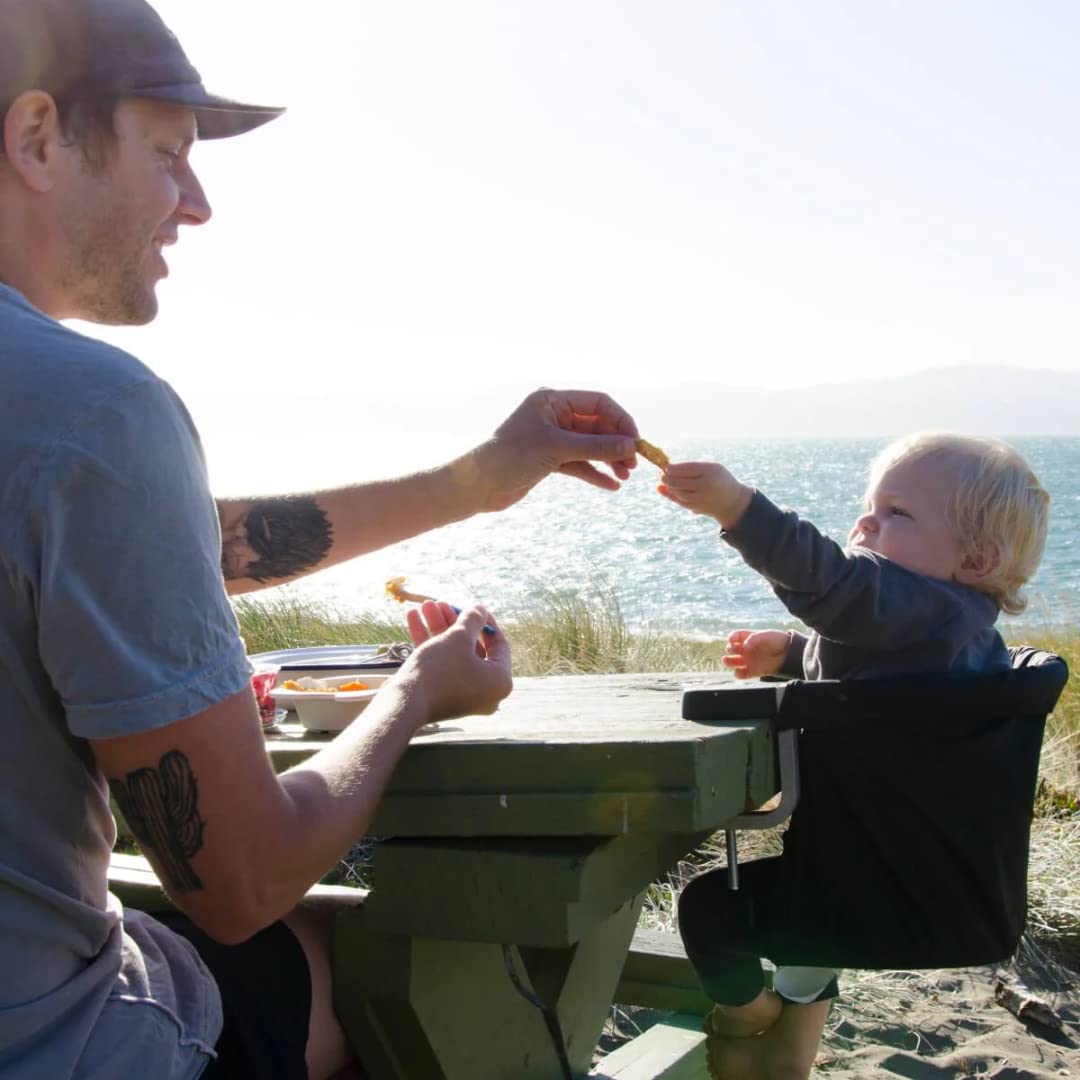 mountain buggy Chaise portable pod flint