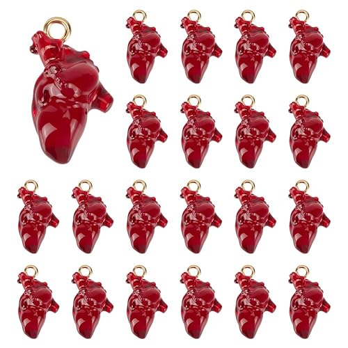 22Pcs Anatomical Heart Charms 3D Human Organ Pendants Hollowen Tibetan