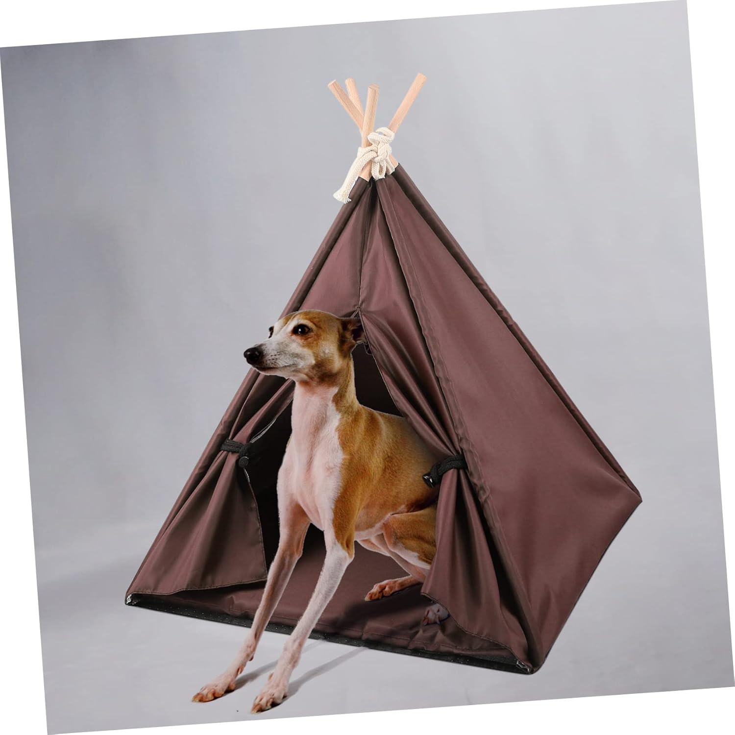 Pet Tent for Small Dogs Washable Oxford Outdoor Cat House Decorative Dog Bed Pet Teepee