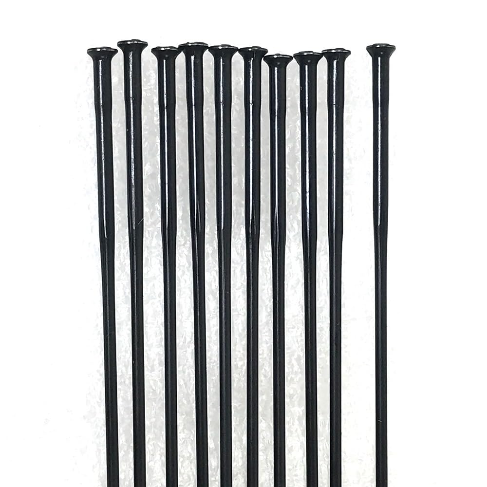 Rayons de vélo 14G droits en acier inoxydable de 256 mm pour jante VTT