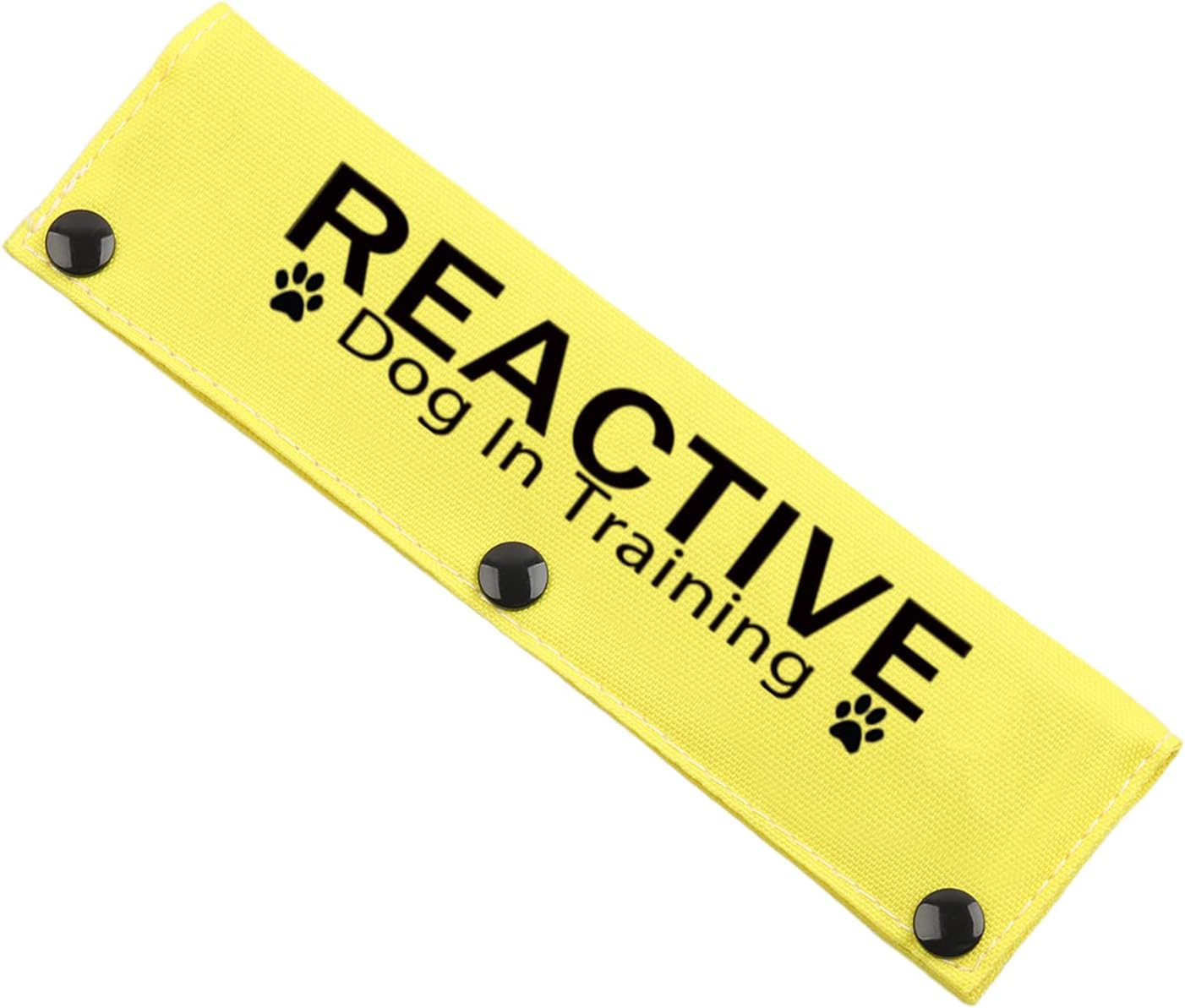 Training Ignore Do Not Stare Reactive Dog Leash Sleeve Dot Not Pet