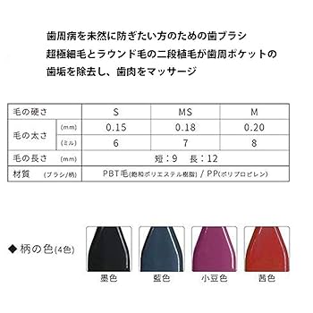 Amazon.co.jp: アパガード リナメル 50g× 1本 + 艶白 (つやはく