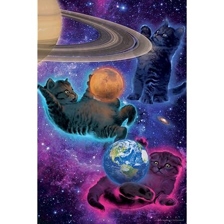 Amazon.com: Cosmic Kittens Floating Outer Space by Vincent HIE Fantasy