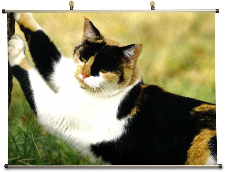 A calico cat statching on a tree - Canvas Wall Scroll Poster (28x20 inches)