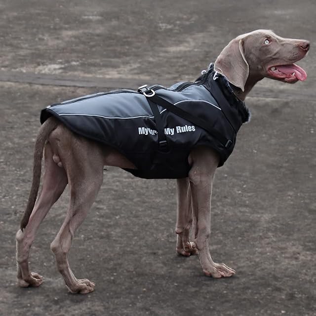 Foto 7 de 8 de Chaqueta de invierno para perros 2 en 1 funciona con arneses prueba de viento chaleco reversible para perro…