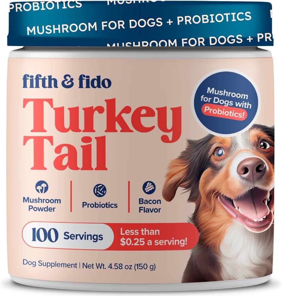 Turkey Tail Mushroom for Dogs Turkey Tail Mushroom