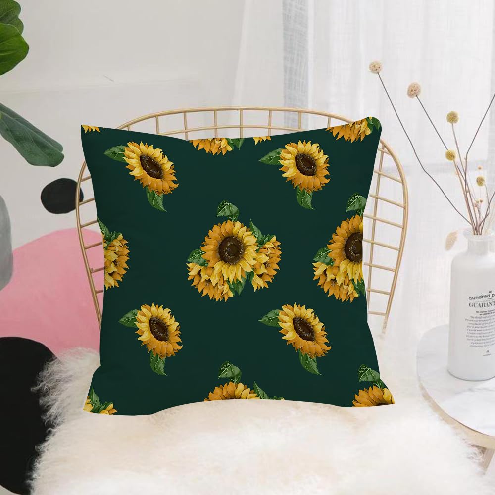 HYMSXW Cushion Cover,Throw Pillow Case Home Decorative for Living Room Bedroom Sofa Chair 20X20 Inch,Flowers sunflowers seamless pattern black background. garden. field flowers. ye,Pillowcase 50X50cm