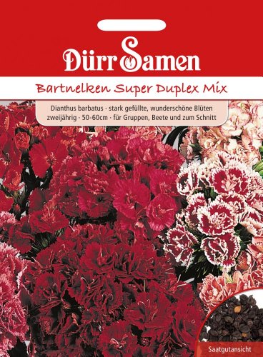 Bartnelken Super Duplex Mix Cover