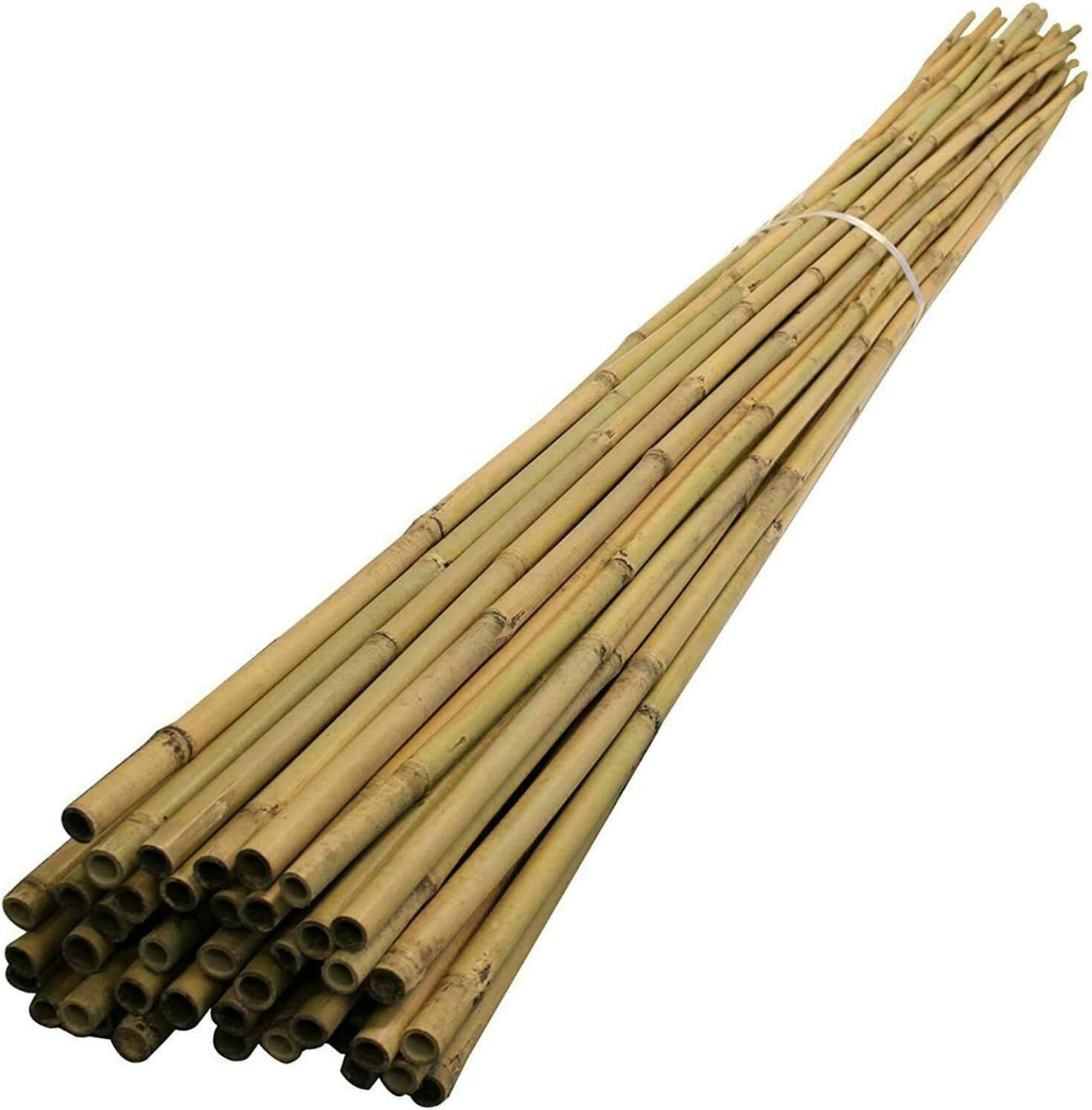 2ft-3ft-4ft-5ft Bamboo Canes/Stake/Pole Garden Plant Flower Support Sticks Outdoor/Indoor Plants Support Natural Strong (10, 6ft - 180cm (14-16mm))