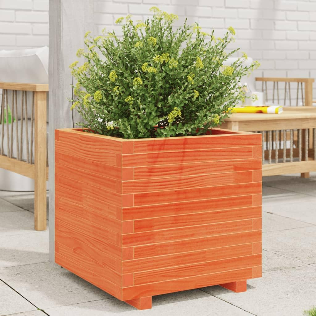 Macetero de madera de pino, 50 x 50 x 49,5 cm, marrón cera, madera maciza, bancal alto, jardín de hierbas, jardín urbano para jardín, balcón y terraza