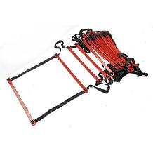 TAP Flat Rung Ladder, 30-Feet