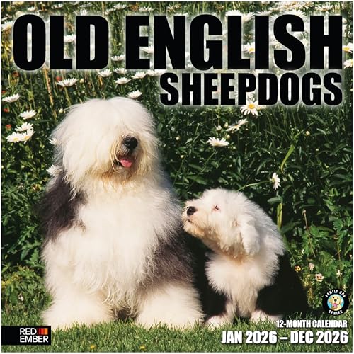 Image of RED EMBER Old English Sheepdogs 2026 Wall Calendar 12 Month | 12 inch x 24 inch Open | Thick & Sturdy Paper | Giftable | Cute Puppy Dog Calendar 2026