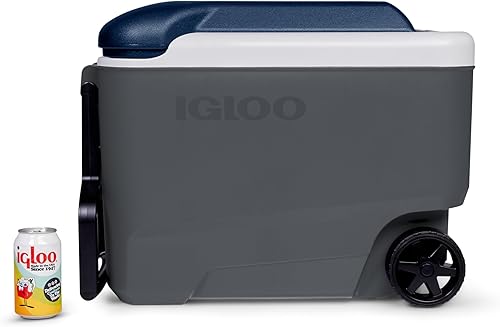 Miniatura 3 de Igloo Maxcold 40 Roller (Ash Gry.Wht.Aegean Sea.Blk) 00034814, 38 litros
