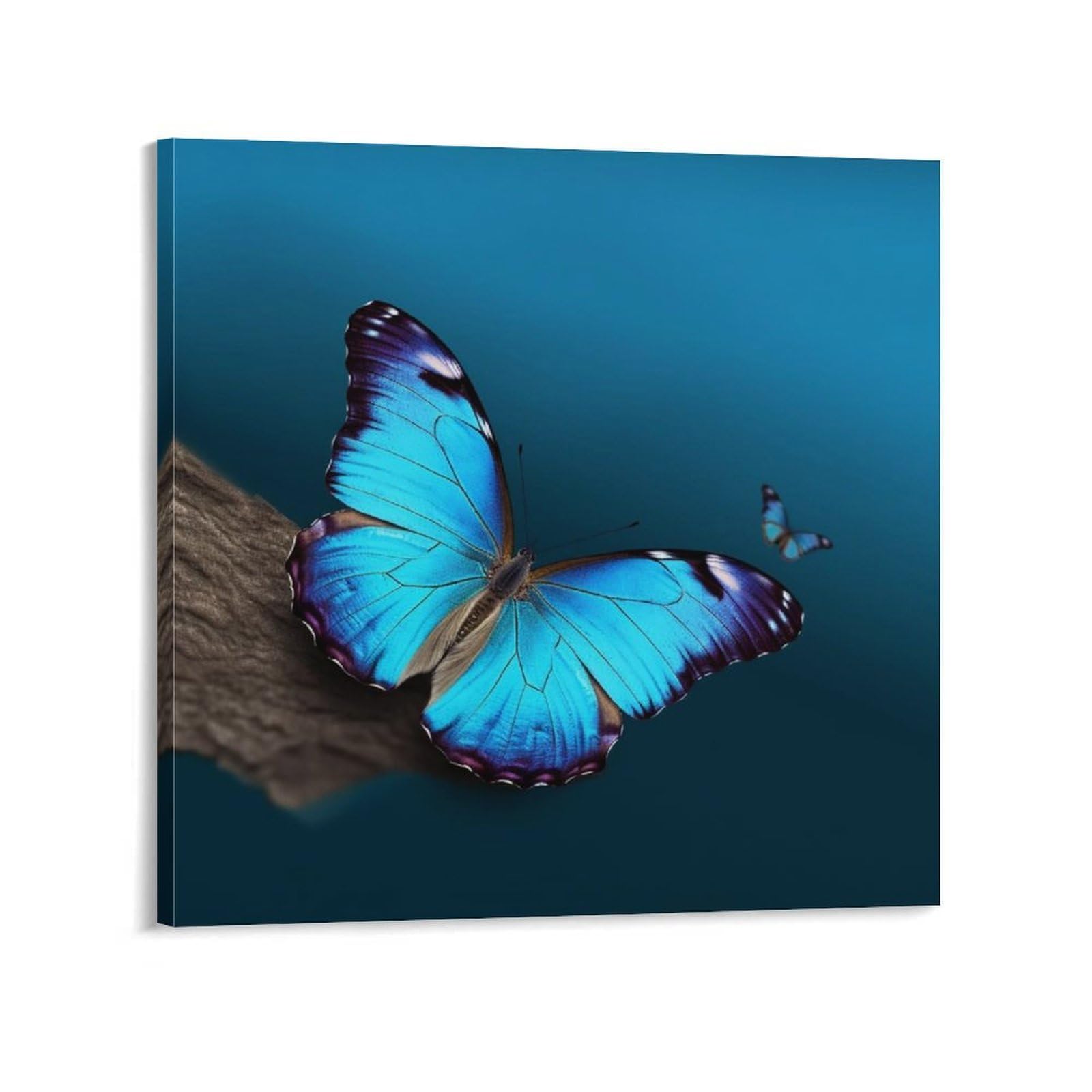 Beautiful Blue Butterfly Canvas Wall Art for Bedroom 24x24inch(60x60cm) Canvas Prints Artwork for Walls Modern Picture Artwork Painting for Living Room Aesthetic Wall Paintings for Bathroom Kitchen Of