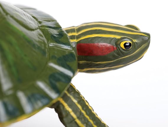 Safari Ltd. Red-Eared Slider Turtle Figurine - Realistic 5.25 Model Figure - Educational Toy for Boys, Girls, and Kids Ages 18M+