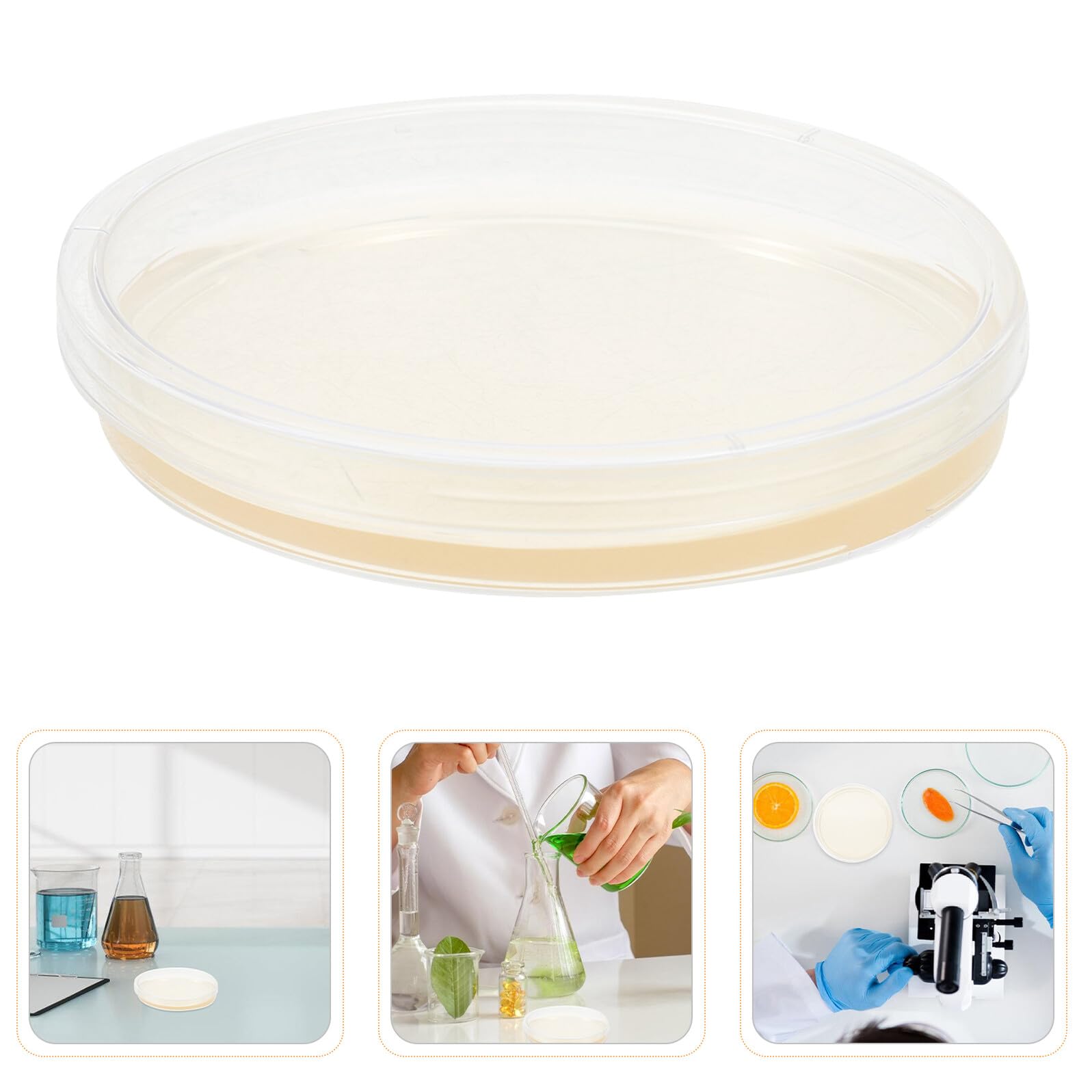 20 Placas de Petri de Agar Nutritivo Prevertido Redondas de 9 Cm para Experimentos Científicos y Proyectos de Laboratorio Tapa y Nutrición Constante