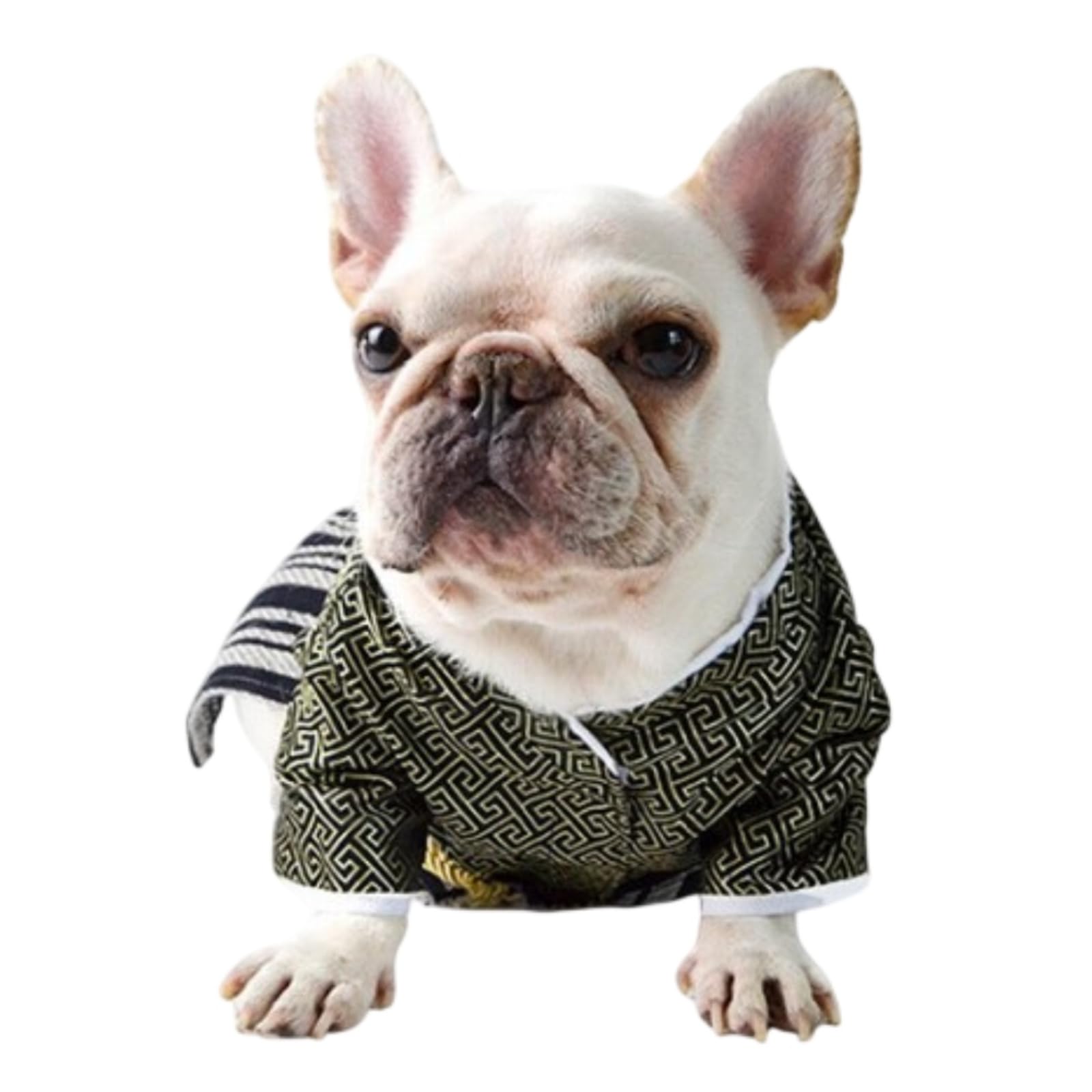 Amazon | [24HOURS] 犬 服 着物 晴れ着 袴 正月ドッグウェア フレブル