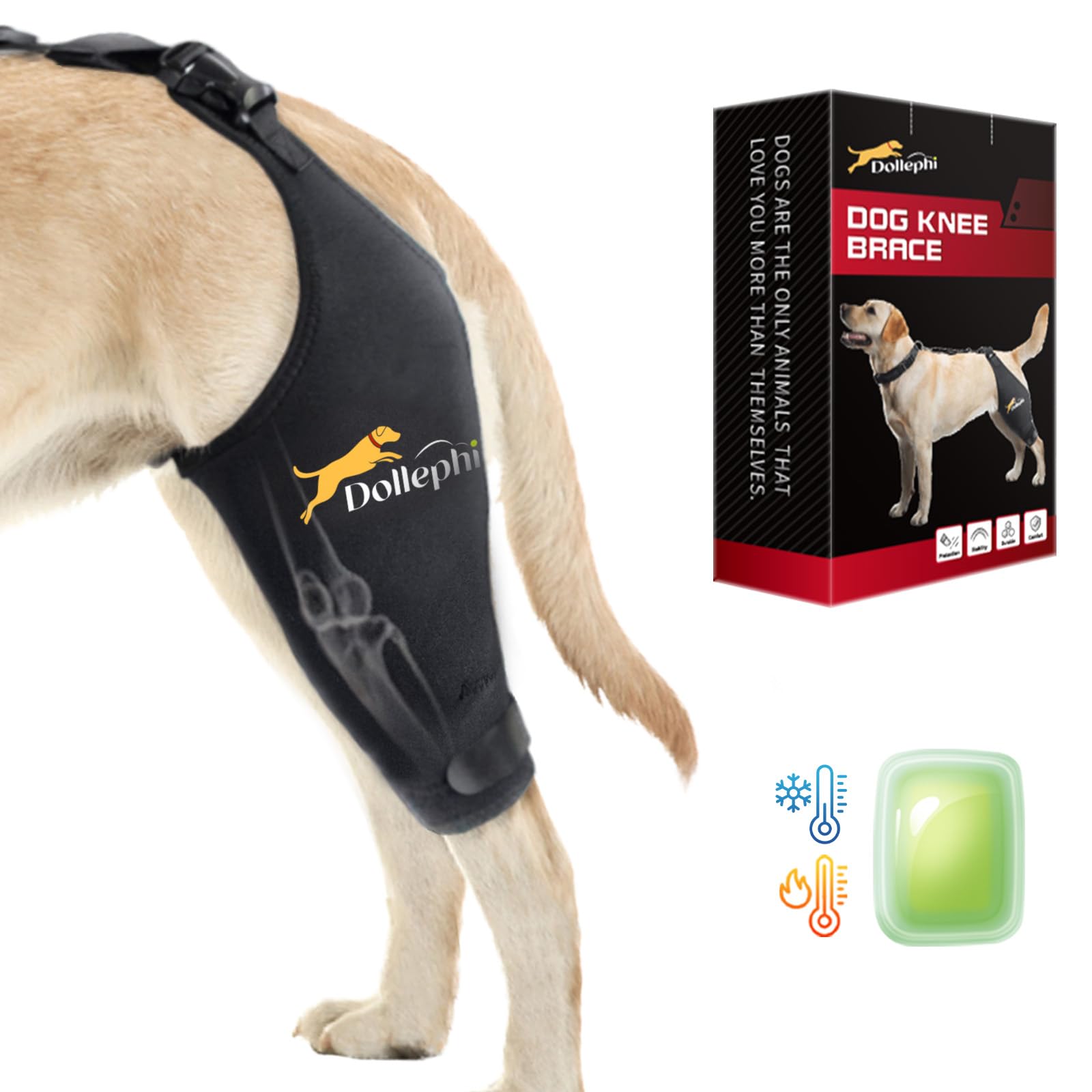 Dog Knee Brace for Torn ACL Hind Leg, Hot/Cold Compress for Patella Dislocation or Osteoarthritis, Cruciate Ligament Injuries, for Medium & Large Dogs(Left Leg,XL)