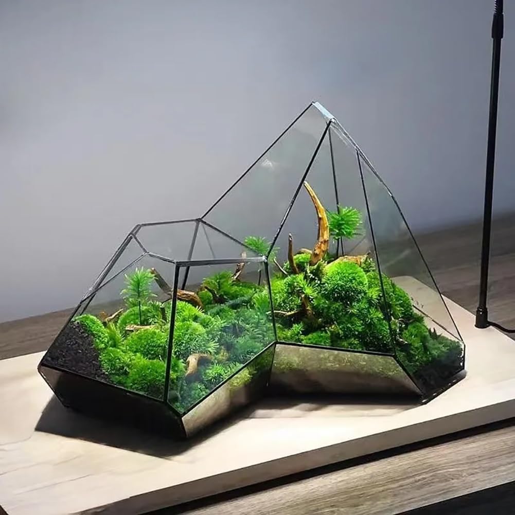 Małe nieregularne geometryczne terrarium, szklane terrarium geometryczne, miniaturowe szklane terrarium, doniczka, ręcznie wykonane, nieregularne pojemniki do terrarium na sukulenty, paprocie, rośliny