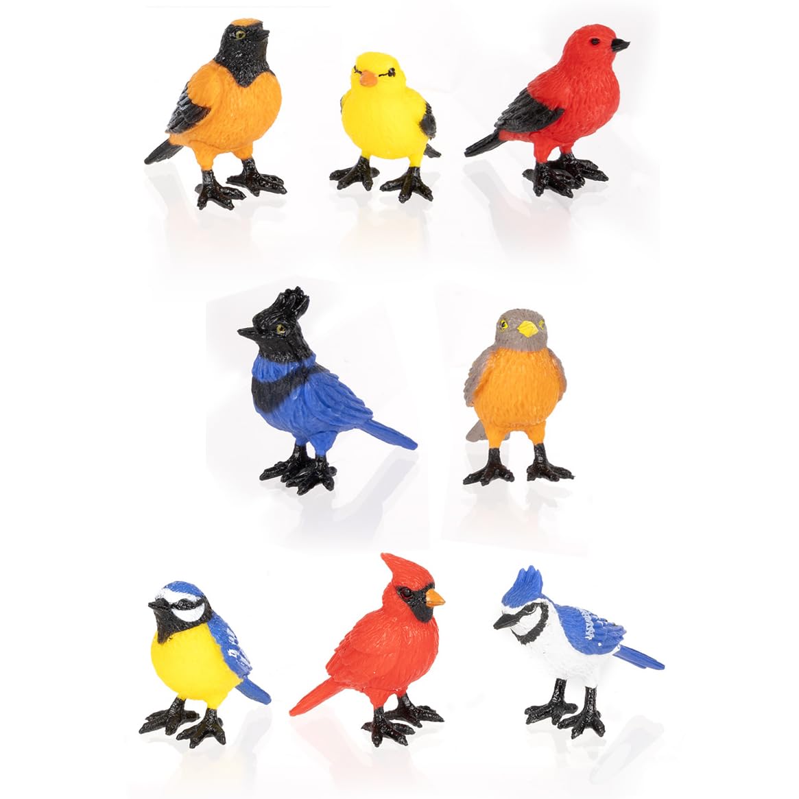 Amazon.com: Accoutrements Archie McPhee Mini Garden Birds