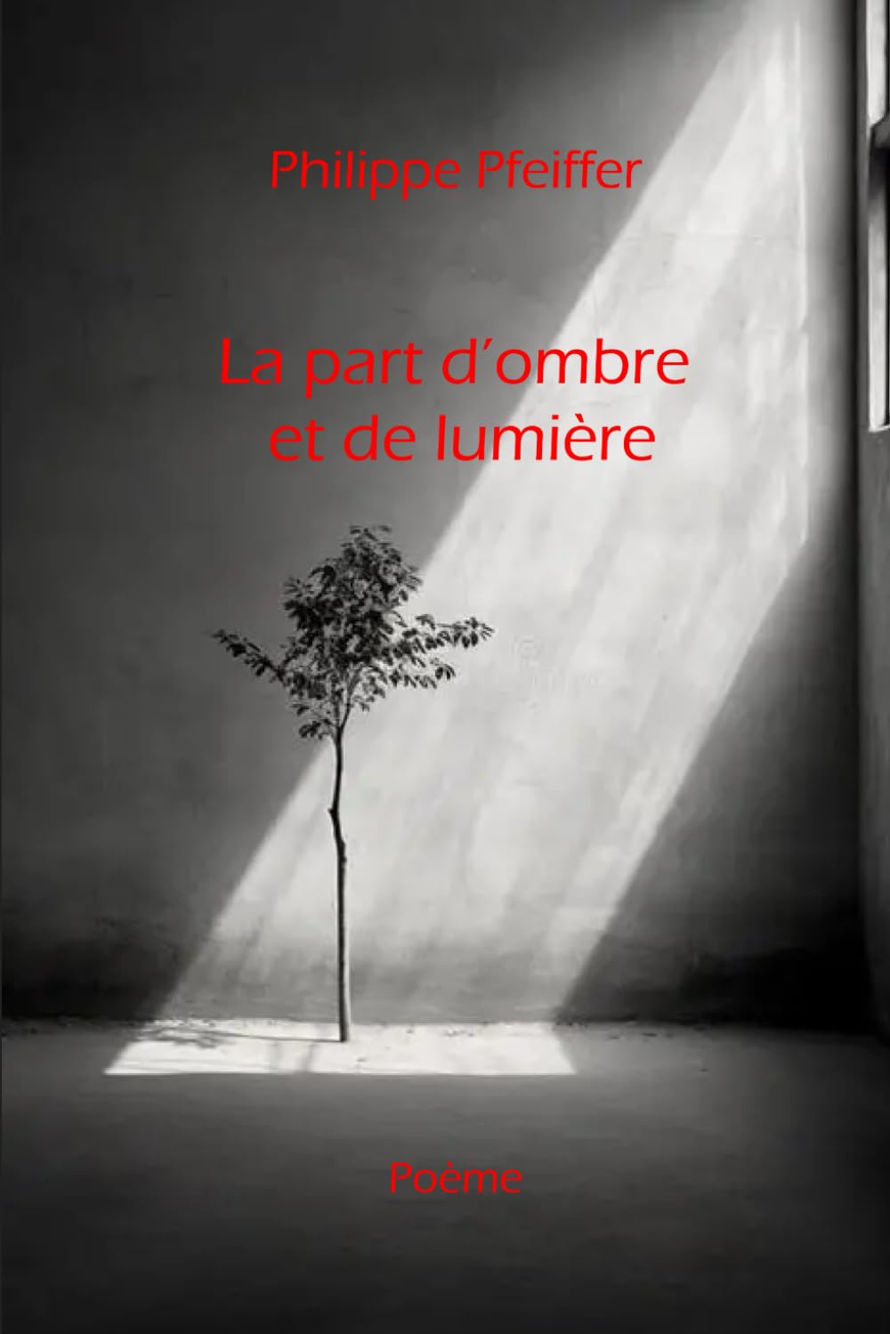 La part d'ombre et de lumière: Conte