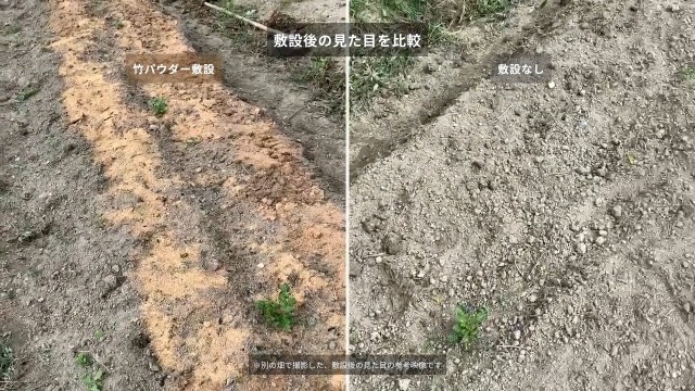 Amazon.co.jp: たけふぁむ 竹パウダー 3kg 発酵済み竹粉 土壌改良材