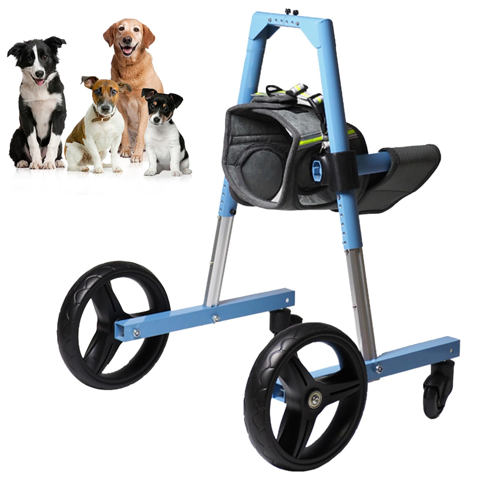 Fauteuil roulant pour chien âgé pour retrouver le plaisir des balades