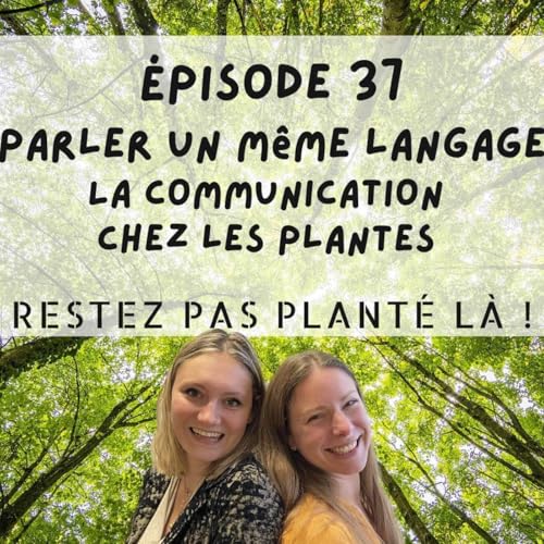Parler un m&ecirc;me langage, la communication chez les plantes