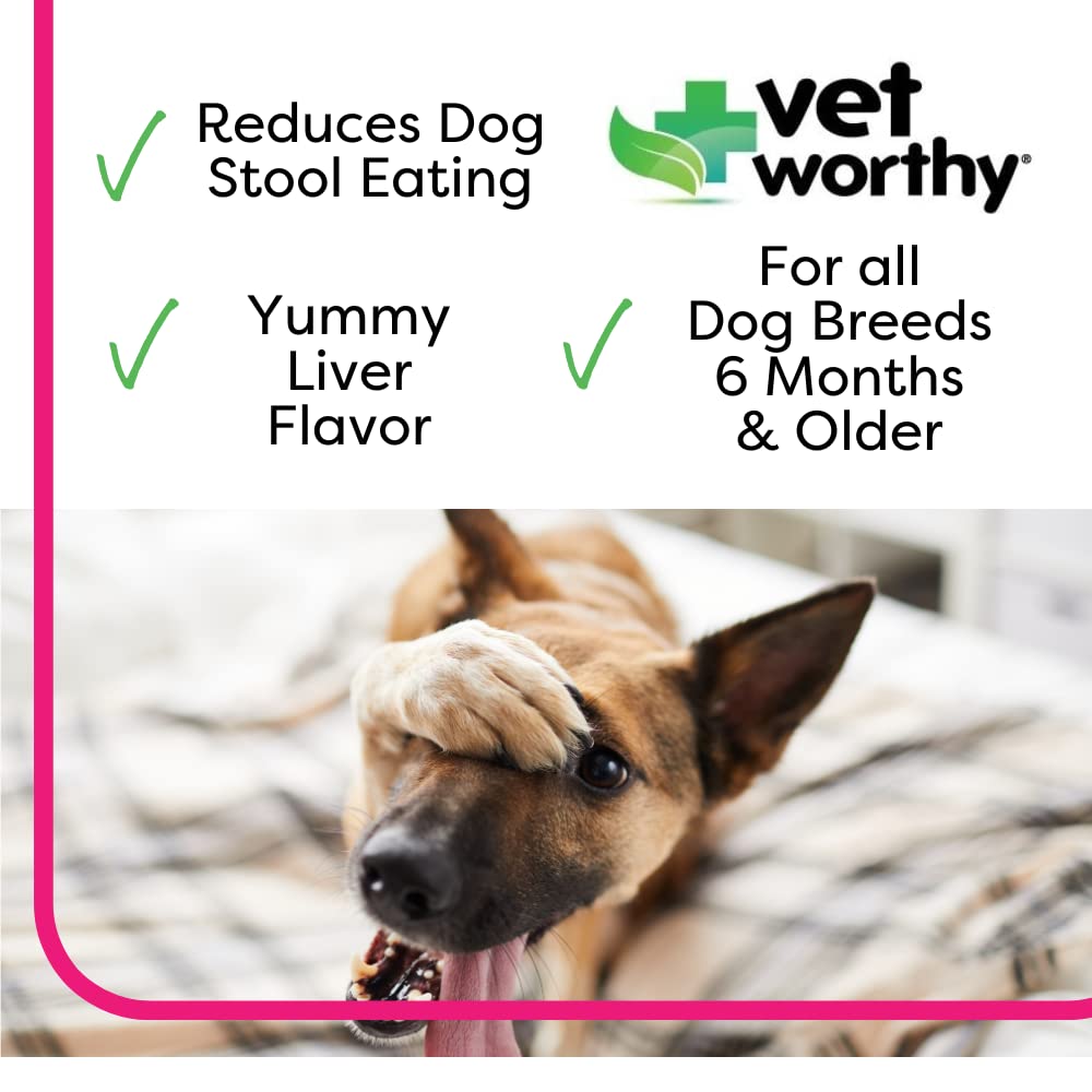 Why Does My Dog Keep Eating Leaves