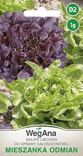WegAna Salat Mix 1g (Environ 900 graines) Mélange de salades Dubacek Verala Graines de légumes robustes, graines de légumes, graines de culture, graines pour la serre