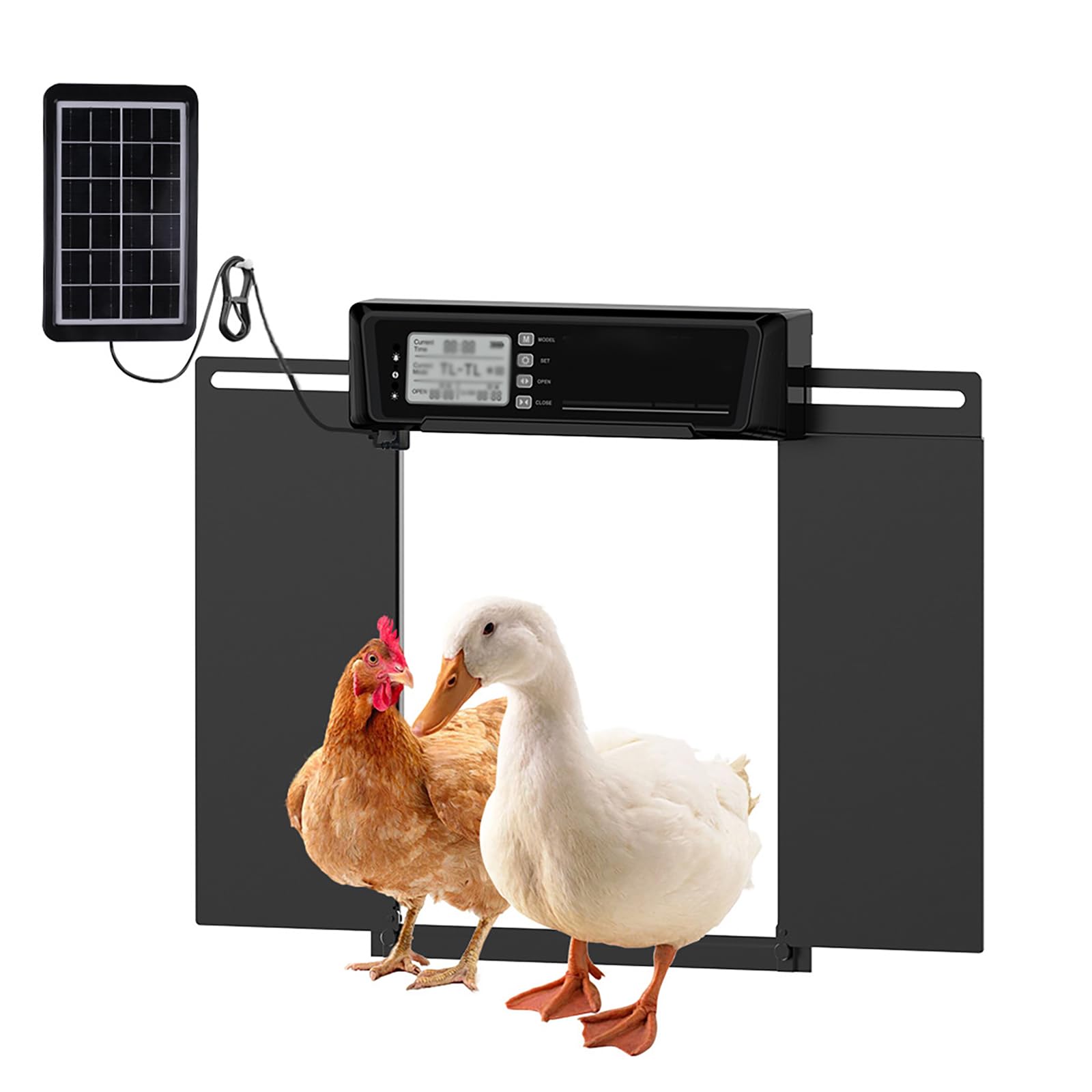 Puerta de gallinero automática grande solar, con temporizador y sensor de luz, función inteligente antipellizcos, pantalla LCD programable y control remoto, energía solar y dos métodos de fuente de
