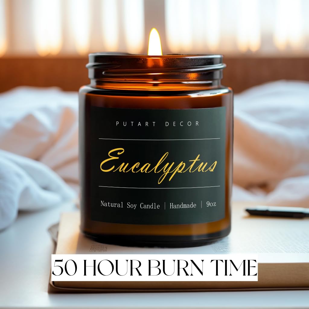 Velas de eucalipto y menta para el hogar, aromaterapia de soja natural, velas no tóxicas con fragancia de larga duración y combustión limpia, vela en tarro de lujo regalo para mujeres, hombres