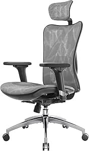 SIHOO M57 Ergonomic Office Chair Mesh Desk Chair with Adjustable Lumbar Support 