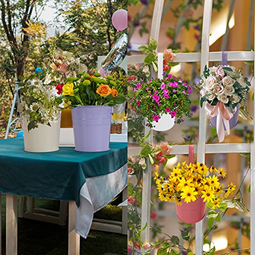 Outfandia Hanging Flower Pots (10Pcs), Balcony Garden Plant Planter Metal Iron Mini Flower Seedlings Brigade Fence Bucket Pots Hanger For Home Decor #TOP6