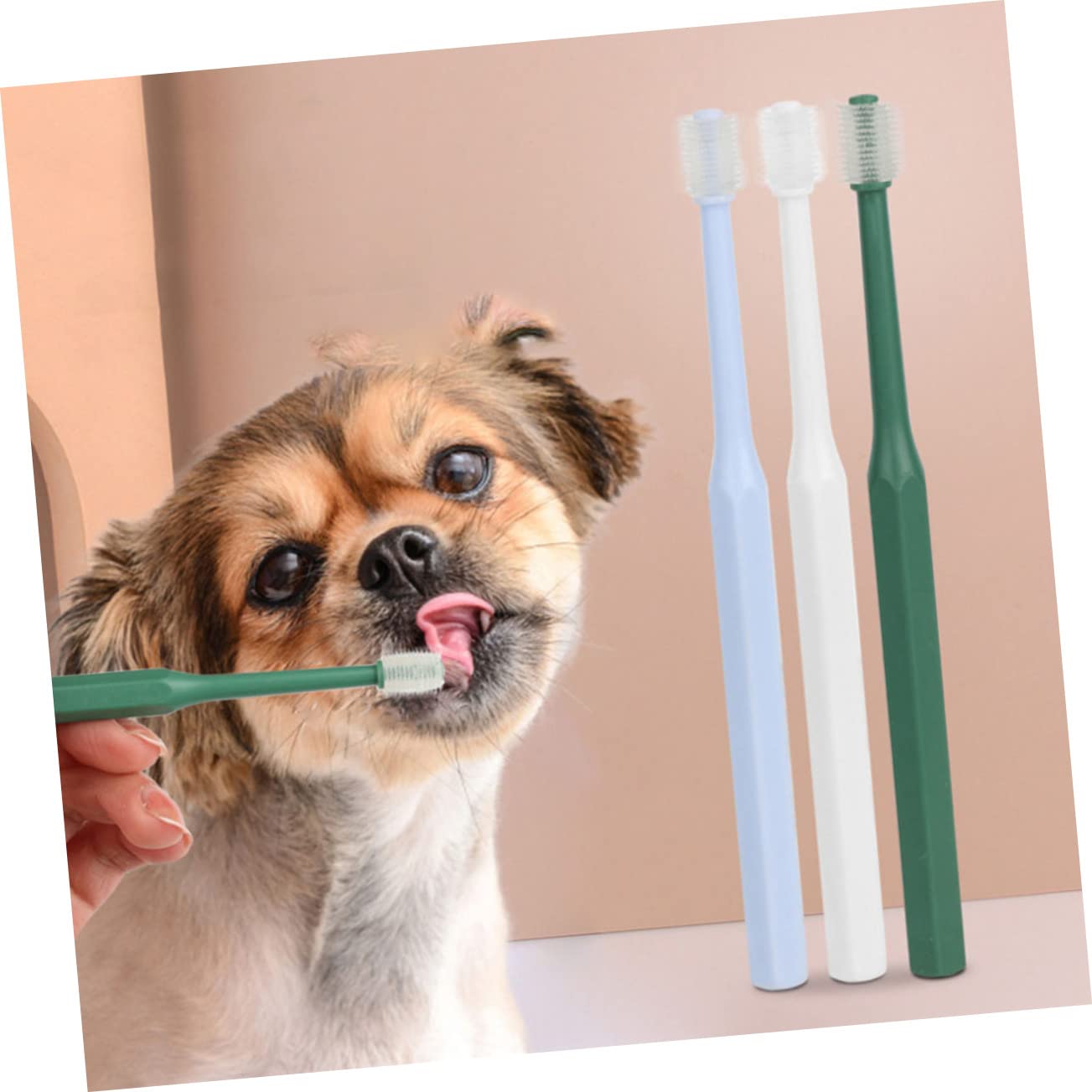 POPETPOP 12stücke Teiliges Für Haustiere Zahnbürste Für Katzen Und Hunde Ergonomischer Griff Tiefenreinigende Bürstenköpfe Für Gesunde Mundhygiene Leicht Und Langlebig