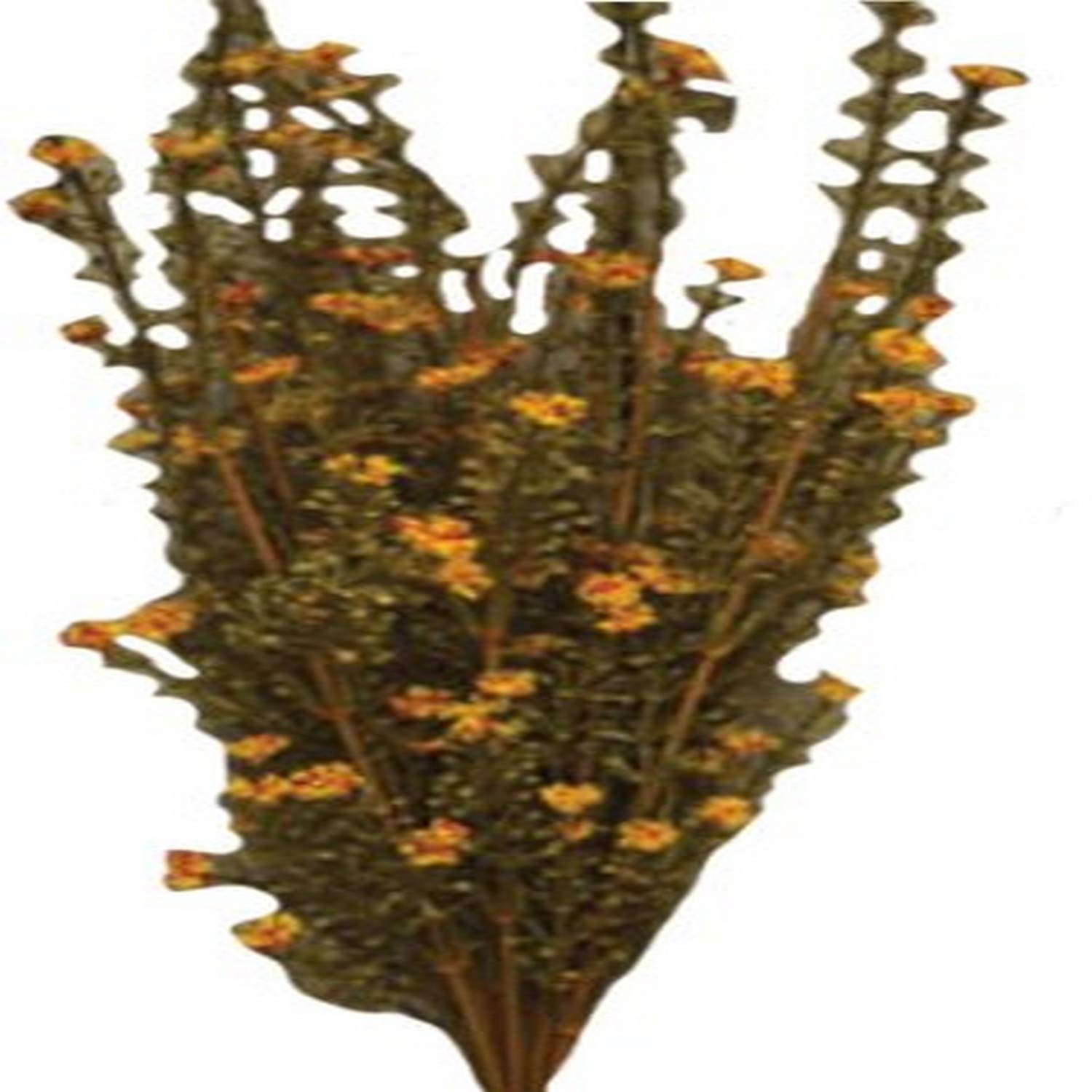 CWI Gifts21" Rusty Astilbe Bush, Multi