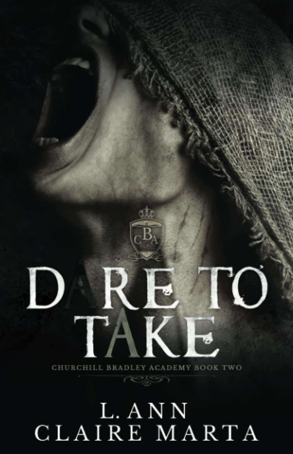 Dare To Take: A Dark High School Bully Romance (Churchill Bradley Academy)