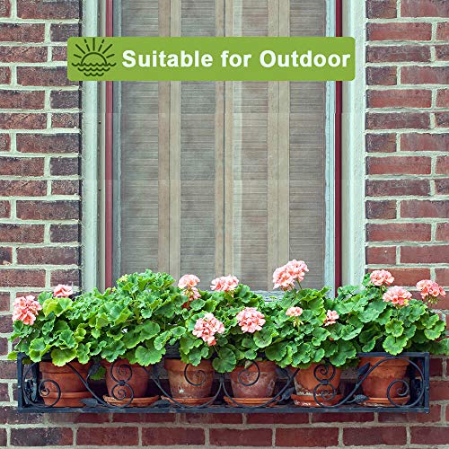 6 Inch Clay Plant Pots with Saucers, 4 Pack - Image 5