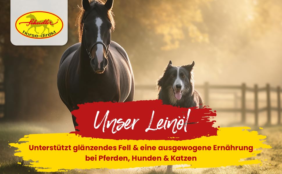 Scheidler horse-direkt Leinöl für Pferde, Hunde & Katzen 1 Liter – Mühlenfrisch kaltgepresstes Leinsamenöl ohne Zusätze – Reich an Omega 3 & 6 für Fellwechsel/Barf Öl – Aus Deutschland