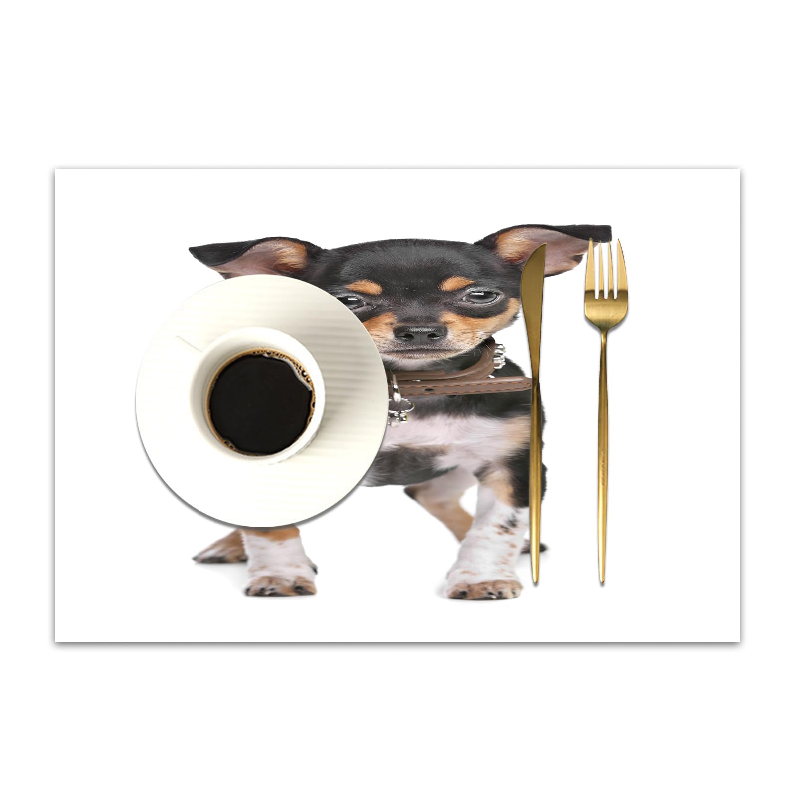 DASNK Table Mats Set of 4 Woven Vinyl Place Mats for Dinner Table Washable & Durable Indoor/Outdoor Use Table Accessories,Black and Tan Chihuahua in front of a white background,12x18in