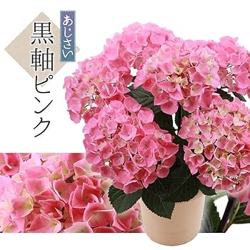 Flowerさま専用 Flower Strap 2way Tops