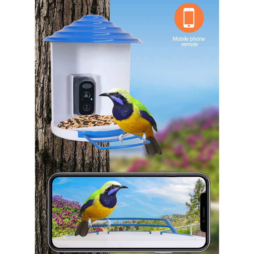 SPORTARC Cámara inteligente para comedero de pájaros, captura y grabación automática de videos de pájaros y notificación de movimiento push, cámara WiFi para pájaros, cámara de observación de aves con