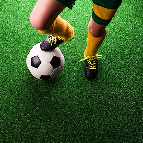 best artificial lawn pee pads