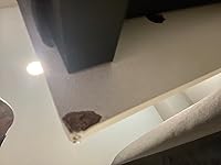 Review Image by WalkingOnSunshine WalkingOnSunshine