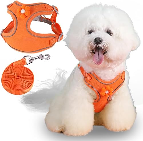 Bcadem Juego de arnés y correa para perro pequeño, correa reflectante, chaleco seguro para la noche, para cachorros, decoración de flores, cinturón Bcadem Juego de arnés y correa para perro pequeño, correa reflectante, chaleco seguro para la noche, para cachorros, decoración de flores, cinturón
