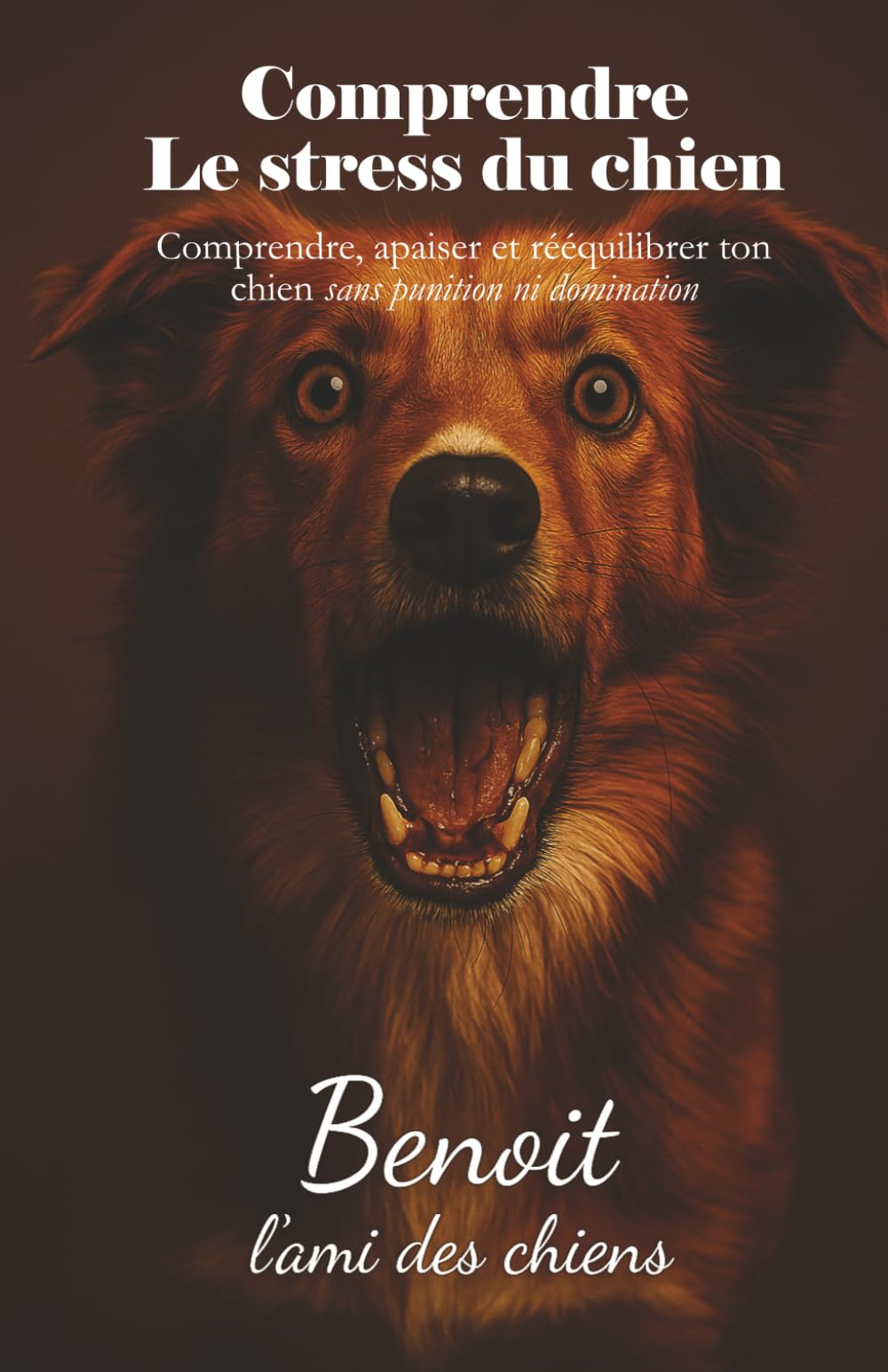 Comprendre le stress d'un chien