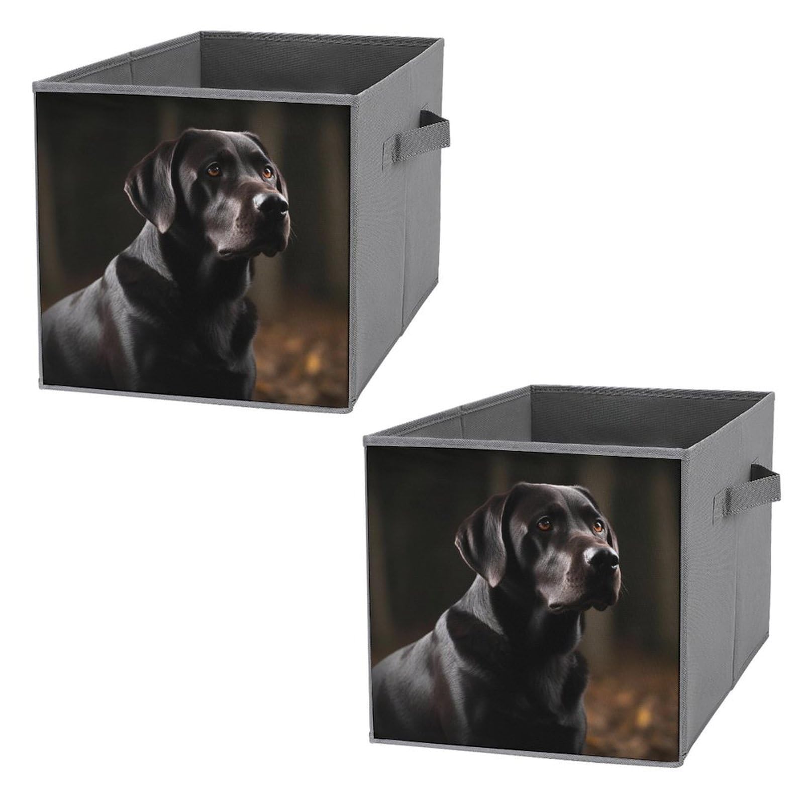 Boîte de rangement Labrador noir pour organiser le dressing des enfants