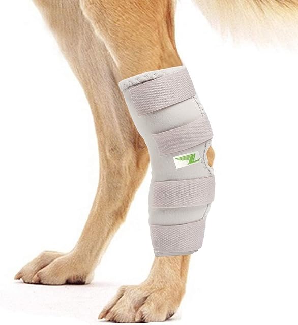 Dog Rear Leg Joint Brace Heals Hock Wrap for Canine (S, Grey)