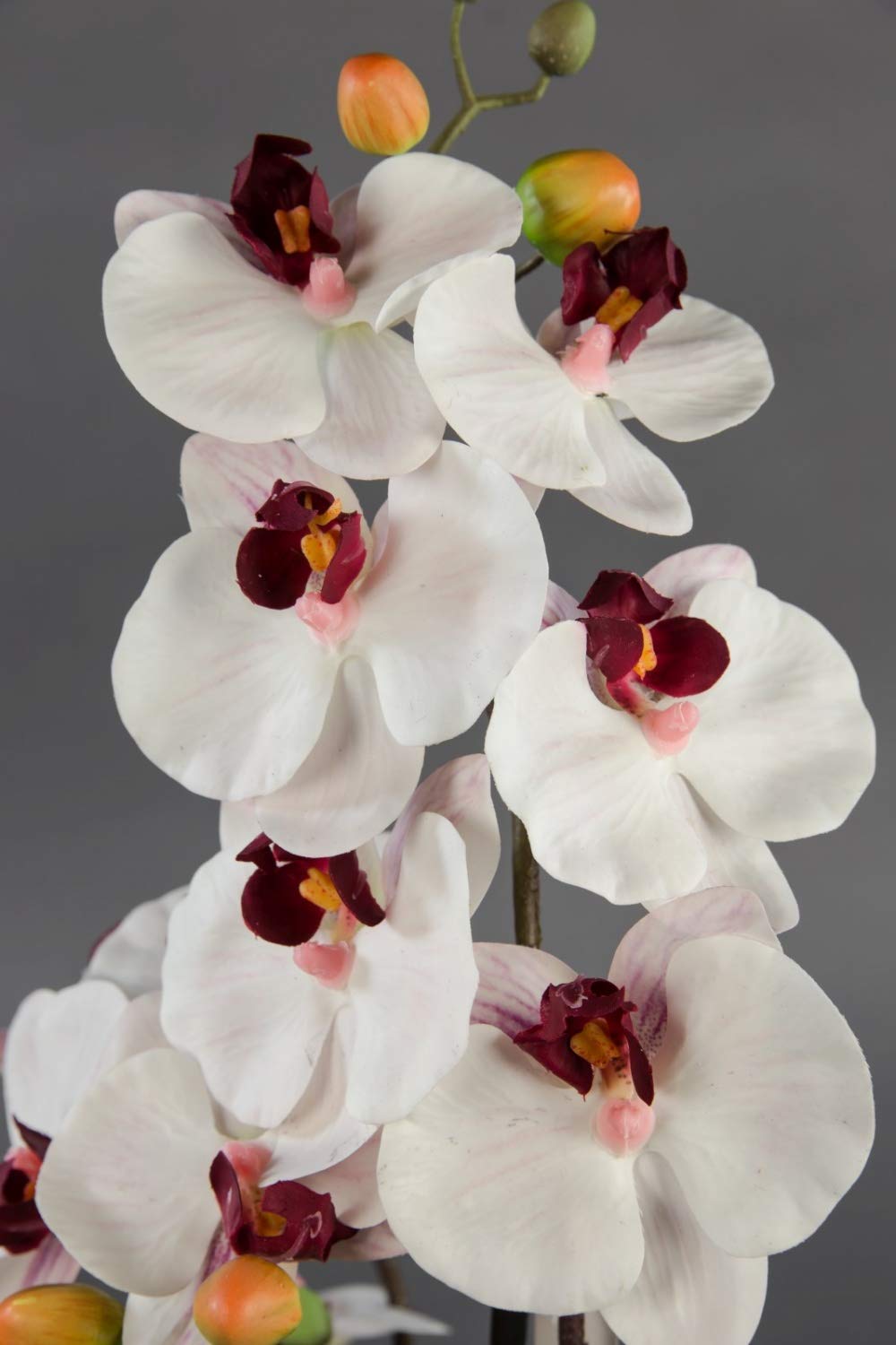 Seidenblumen Roß Orchidee Real Touch 58x28cm weiß-Bordeaux in weißer Keramikschale GA Kunstblumen Kunstpflanzen künstliche Phalaenopsis Blumen Pflanzen