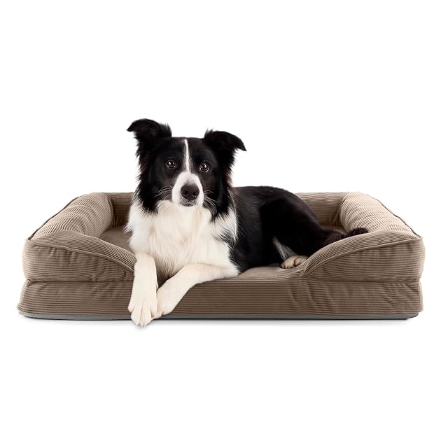 Lumaland Cama ortopédica para Perros de Pana